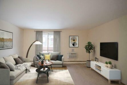 10 Things Every Adult Should Have In Their Living Room