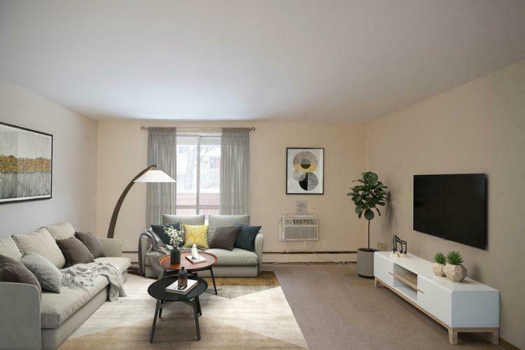 10 Things Every Adult Should Have In Their Living Room