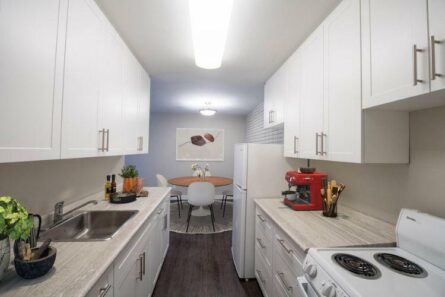 7 Apartment Essentials For New College Students